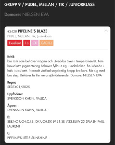 Kritik